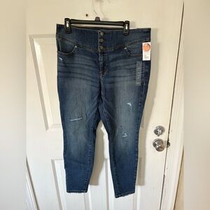 Lane Bryant Blue Jeggings with Distressed Details